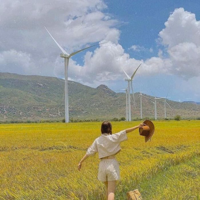 Taxi ga Tháp Chàm đi Vĩnh Hy