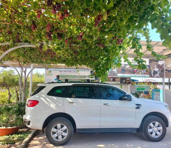 Thuê Xe Sân Bay Cam Ranh Đến Vĩnh Hy Thuê Xe Sân Bay Cam Ranh Đến Vĩnh Hy